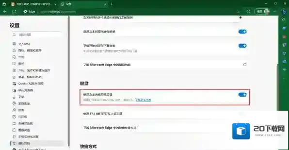 Edge浏览器页面
