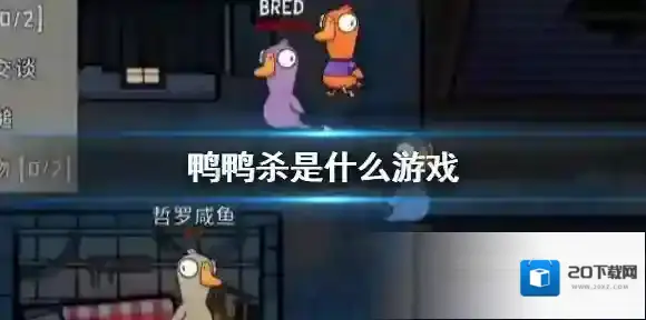鸭鸭杀是什么游戏 鸭鸭杀手游简介