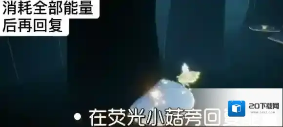 Sky光遇每日任务