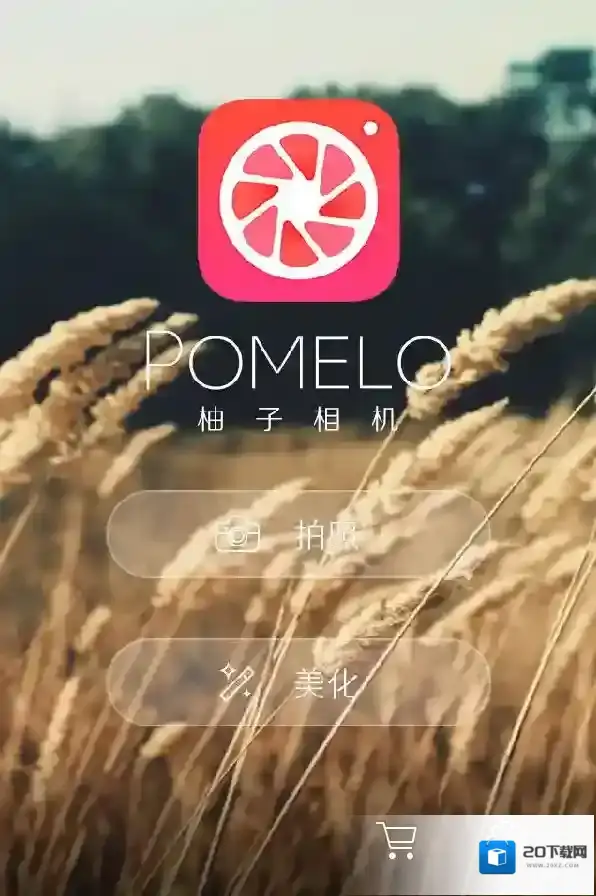 柚子相机照片