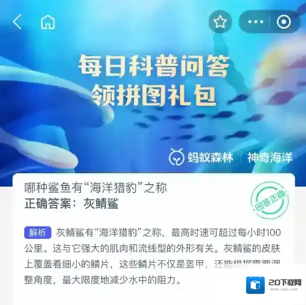 支付宝海洋