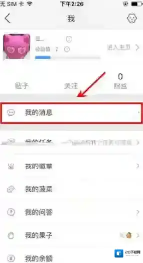 《伐木累》置顶聊天方法介绍