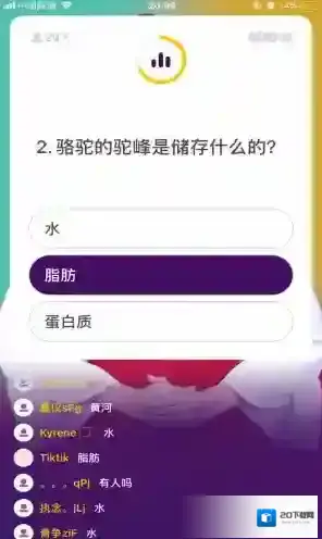 冲顶大会场次
