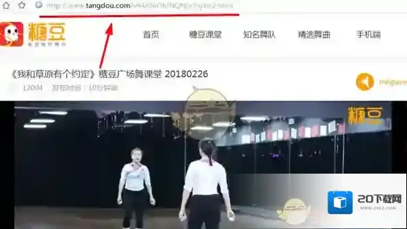 《糖豆广场舞》怎么下载视频到电脑上？