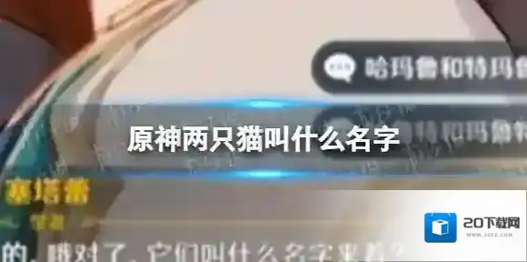 原神两只猫叫什么名字 原神两只猫的名字