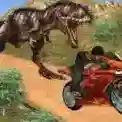 迪诺快速自行车比赛