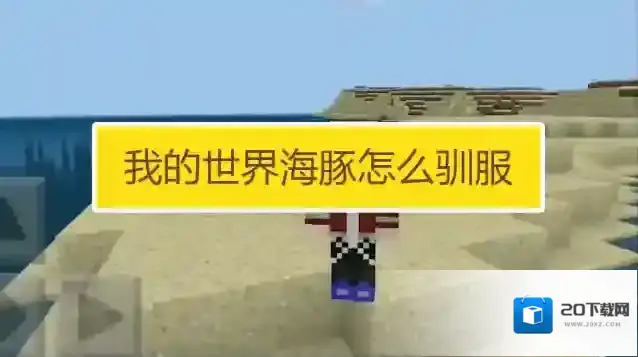 我的世界海豚怎么骑 如何驯服