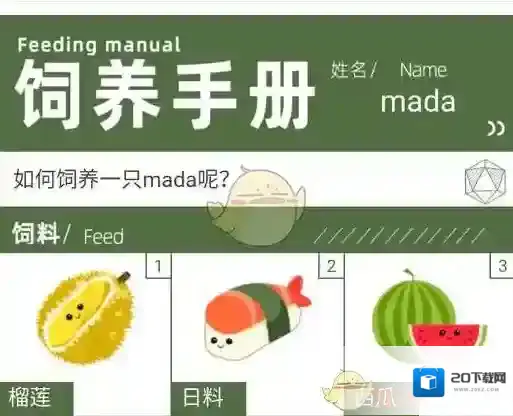 网易新闻人设