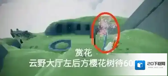 光遇云野