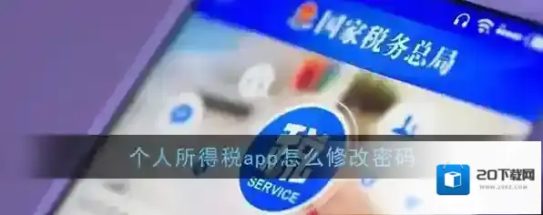 《个人所得税》app密码修改教程