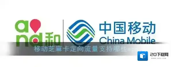 《移动芝麻卡》定向流量免流范围