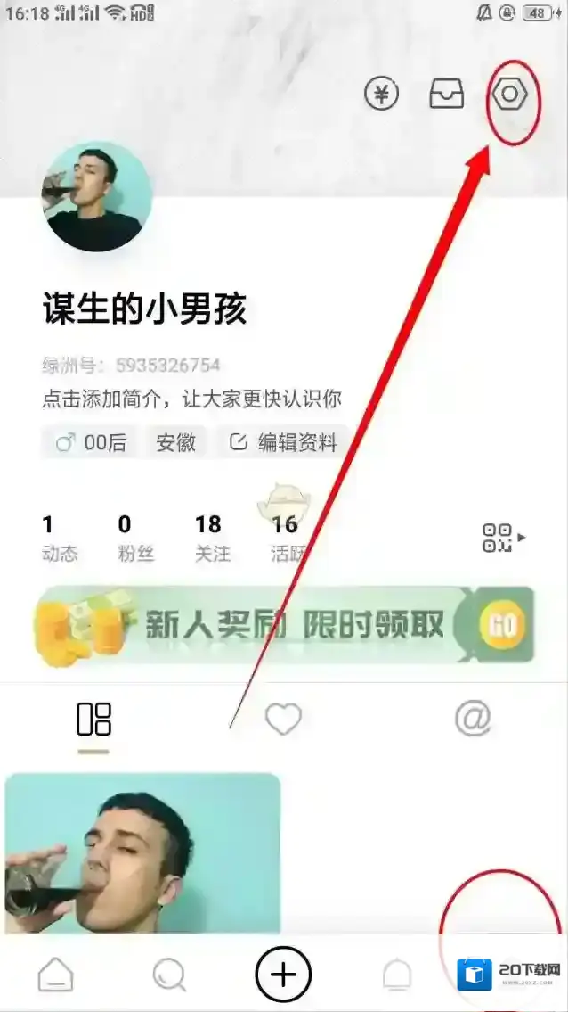 新浪绿洲设置