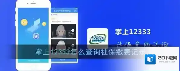 掌上12333掌上
