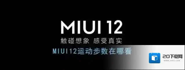 《MIUI12》今日步数查看方法