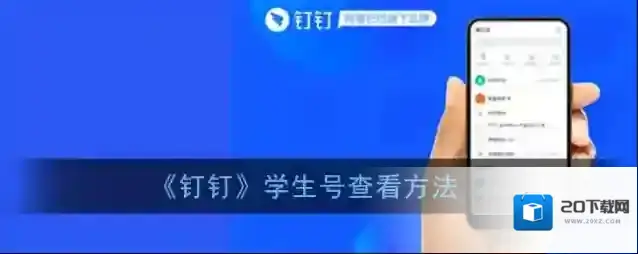 《钉钉》学生号查看方法