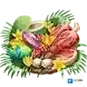 FGO主线