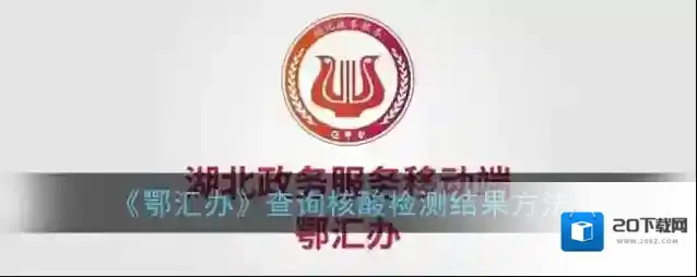《鄂汇办》查询核酸检测结果方法