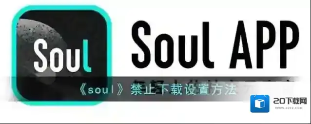 《soul》禁止下载设置方法