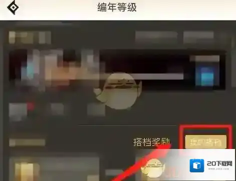 DNF助手搭档