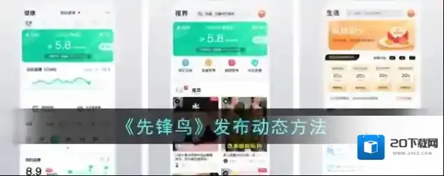 先锋鸟发布