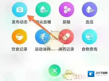 先锋鸟内容