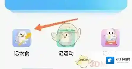呼啦鸽饮食