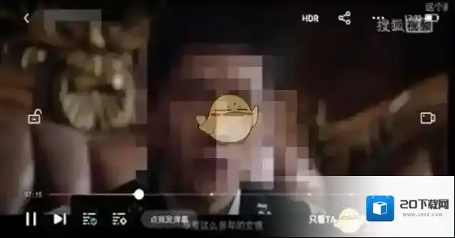 搜狐视频侵权