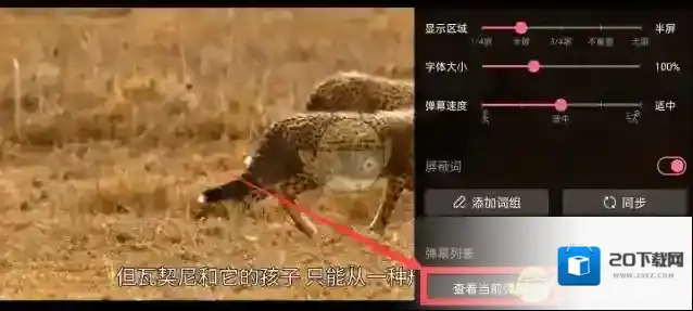 哔哩哔哩视频