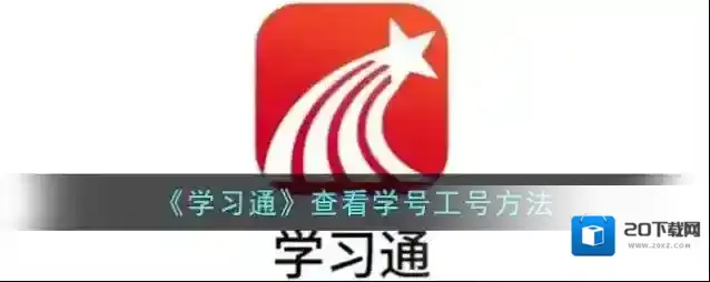 《学习通》查看学号工号方法
