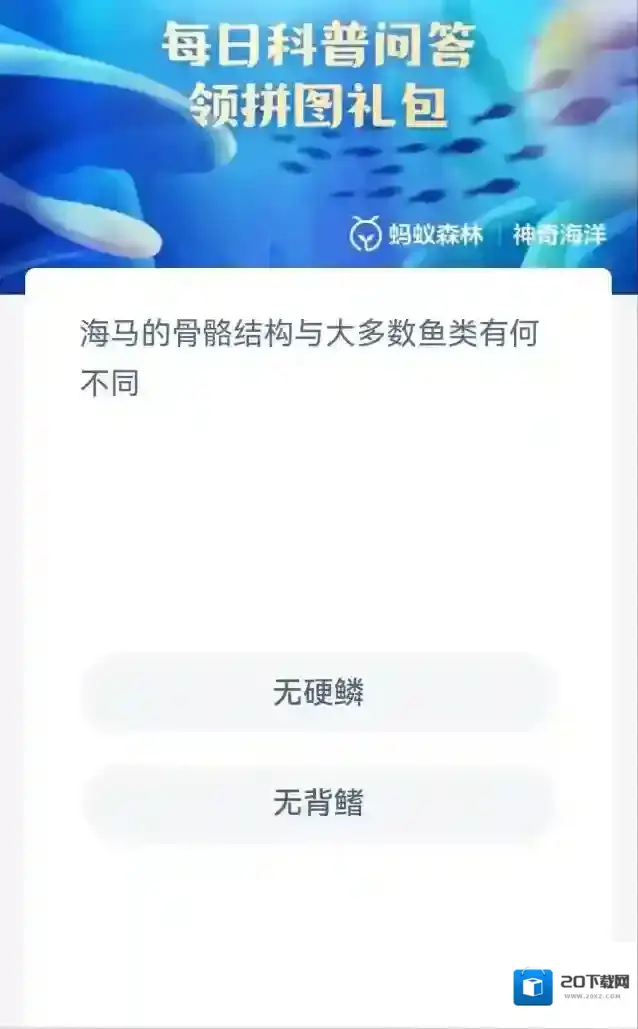 支付宝硬骨板