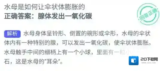 支付宝水母