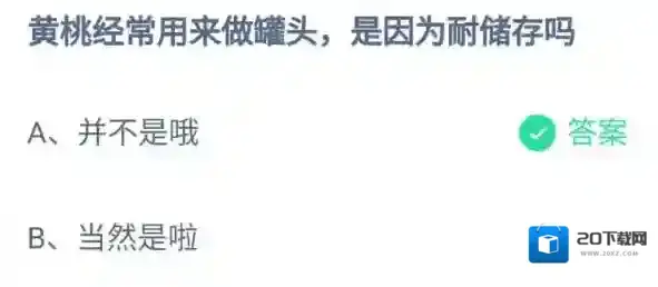 支付宝罐头