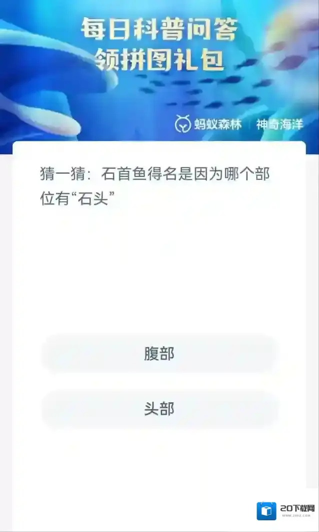 支付宝石首鱼