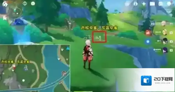 原神研学