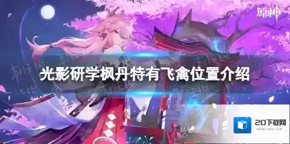 原神光影