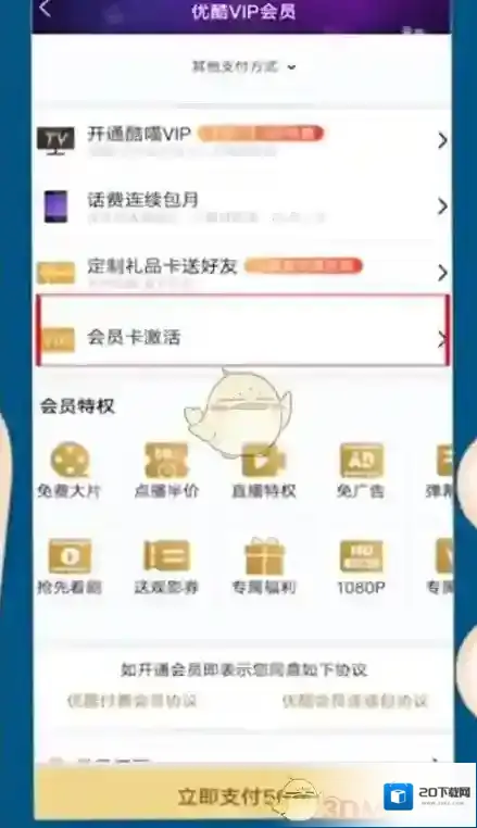 优酷会员卡