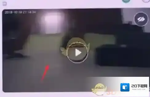 乐橙按钮
