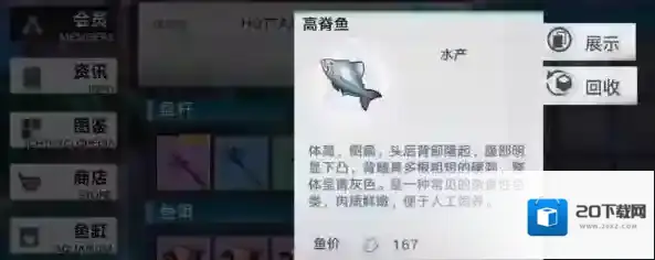 幻塔鱼放进鱼缸展览方法分享