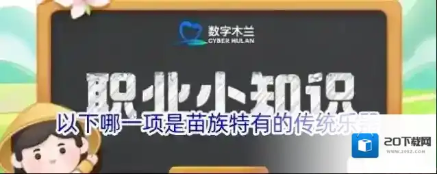 以下哪一项是苗族特有的传统乐器
