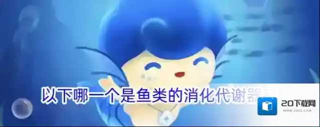 以下哪一个是鱼类的消化代谢器官