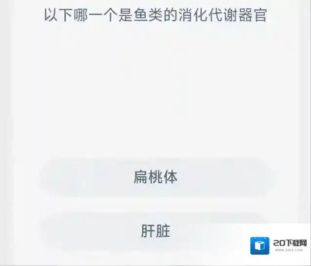 支付宝海洋
