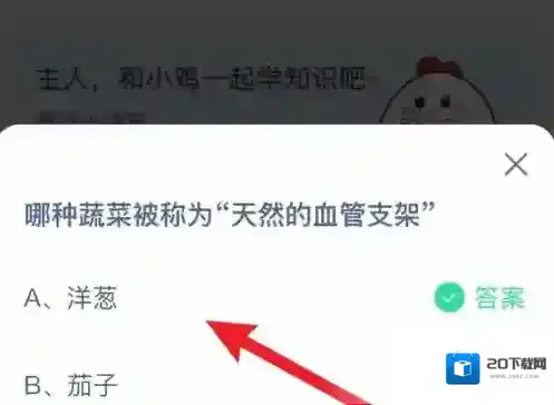 支付宝血管支架