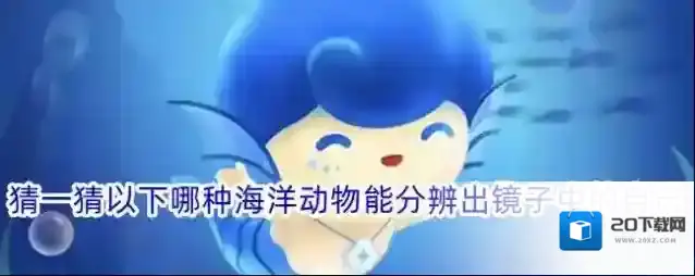 猜一猜以下哪种海洋动物能分辨出镜子中的自己