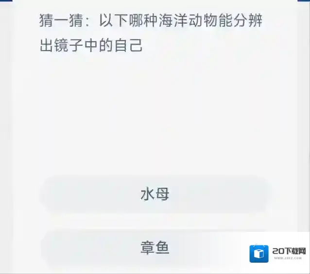 支付宝分辨